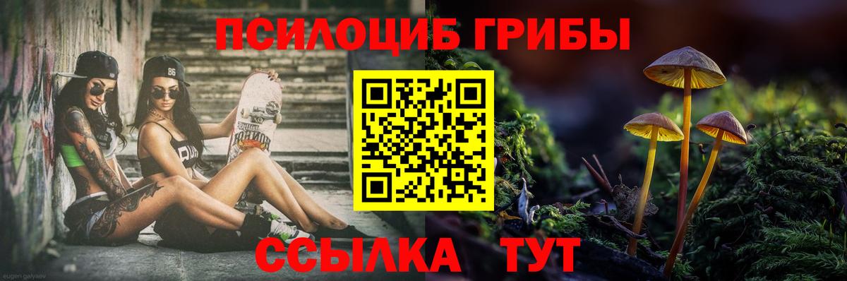 Сертолово  Галлюциногенные грибы прущие грибы  Вход с VPN 